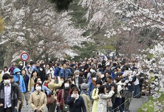 皇居　大嘗宮の参観に合わせて乾通りを一般公開