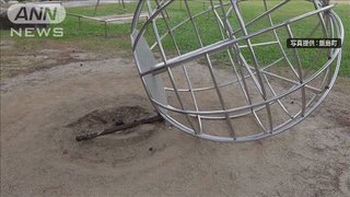 【長野】「回転ジャングル」根元折れる　男子児童7人けが