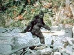 清原和博　『アルマーニ』で買い物し西麻布で会食“バブルな一日”