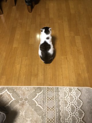 &#x{11:F8E2};なんでもいｰから&#x{11:F8E2};