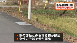 高齢者と犬が死亡 散歩中にひき逃げされたか