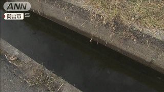 【岡山】用水路で女性（71）が死亡　免許返納後に購入の自転車で転落か