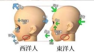 【画像トピ】同じモンゴロイドのアジア人でも中国人は日本人より美しい