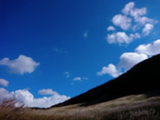 一日３人限定☆願い事が叶うﾄﾋﾟ