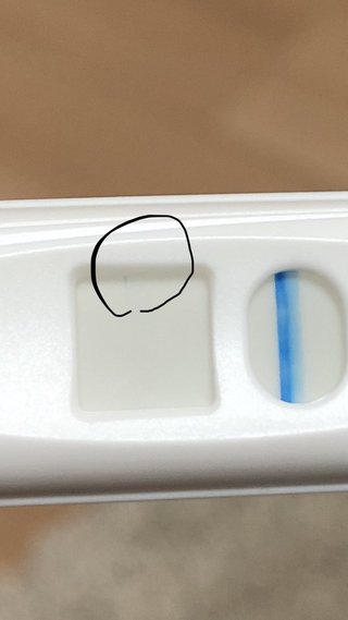 これは妊娠している可能性はありますか？