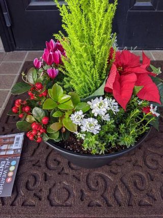 &#x{11:F9E6};&#x{11:F9E6};ガーデニング好きな方【情報交換】&#x{11:F9E6};&#x{11:F9E6};