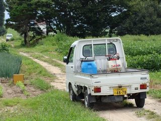 【福島】「ながら運転」疑い 男（71）逮捕　いわき