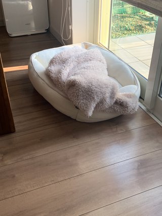 &#x{11:F8E2};なんでもいｰから&#x{11:F8E2};