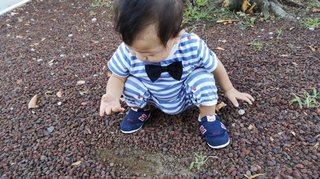 蛯原英里、交換せず