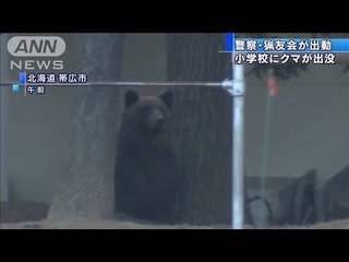 【北海道】小学校にクマ　ハンターが発砲・駆除　帯広市