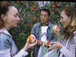 アイフル・チワワCMで一世風靡「清水章吾」からの40年DV