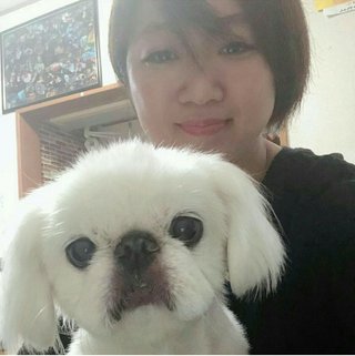 美奈子、年内に重要なお知らせがあります