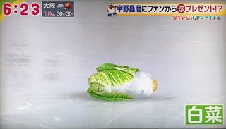 羽生結弦へ投げ込まれる大量の「くまのプーさん」　全日本での全面禁止も無理ない