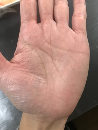 手相見てください