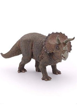 トナカイ飼ってない人