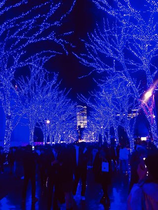 &#x{11:F8E2};なんでもいｰから&#x{11:F8E2};