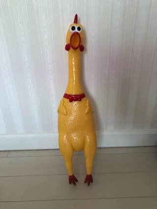 ガキ使大みそか『笑ってはいけない』舞台は高校 