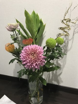 正月切り花のアドバイスください。