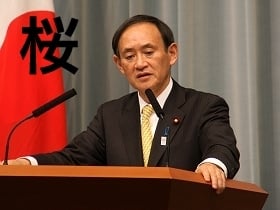 「桜」の字は見たくもない＝菅官房長官