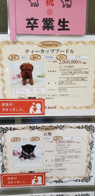 ペットショップでのペットの値段