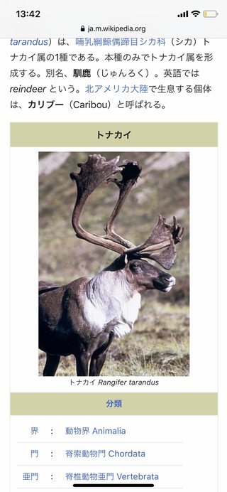 トナカイ飼ってない人