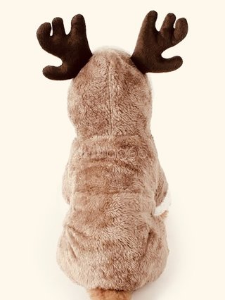 トナカイ飼ってない人