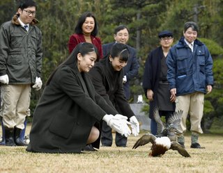 眞子さま、佳子さま　カモ猟接待　駐日大使ら招き