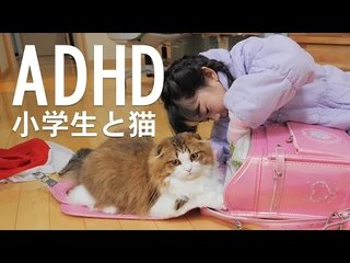 YouTube【ふわふわこっちゃんねる】