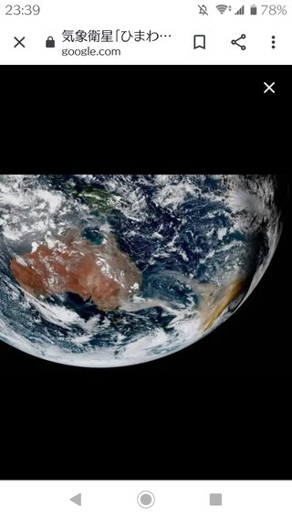 オーストラリア森林火災、動物の犠牲は５億匹