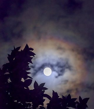 卍◇卍「白蛇城」卍◇卍