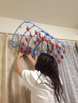 いちご狩りはお金持ちのレジャー