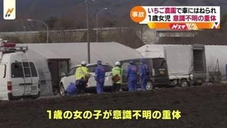 【群馬】いちご農園で車にはねられ【１歳児重体】