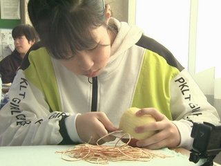 【愛知】小学校のりんご皮むき大会で“17m18cm”の新記録【5年生が連覇達成】豊橋