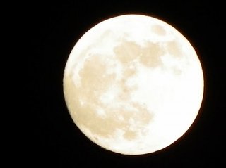 卍◇卍「白蛇城」卍◇卍