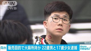 【東京】大麻所持疑いで22歳男と17歳少女逮捕　男は売人か