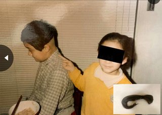 清水章吾から40年にわたるDV被害　告発の妻「作られた鬼嫁キャラ、辛かった」