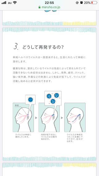 『十二人の死にたい子どもたち』が、金ローで1月31日21時より地上波初放送