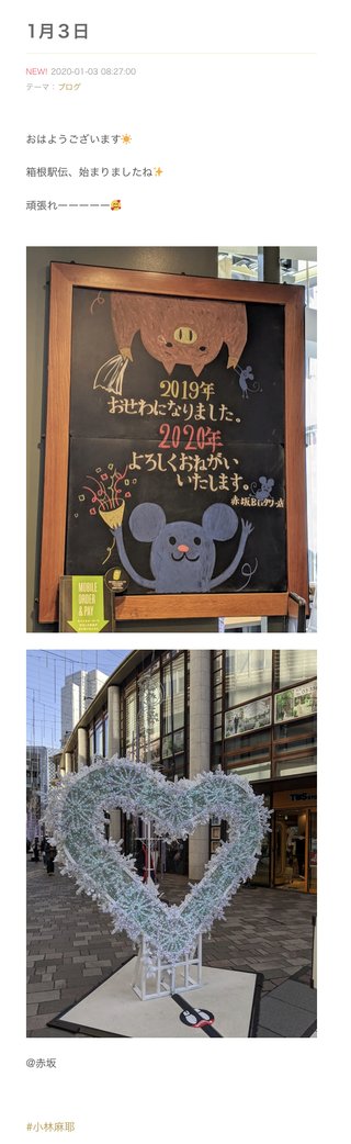 小林麻耶【麻耶☆道】