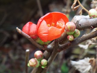 卍◇卍「白蛇城」卍◇卍