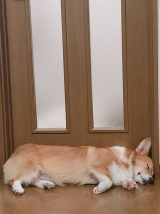 &#x{11:F8E2};なんでもいｰから&#x{11:F8E2};