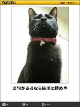 クロネコがピンポンを連打