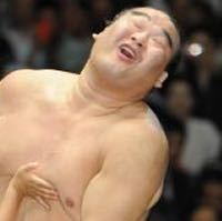 相撲みる人少ないのかな