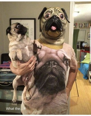 片寄涼太はイケメン？