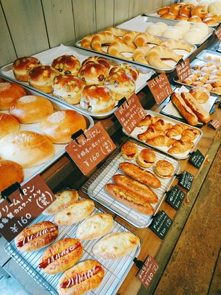 【拡散希望】パンから発がん性除草剤検出！アメリカ圧力で日本は農薬まみれ