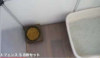 namichannel youtube はしもとなみ 橋本奈実 総合