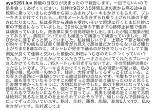 自転車と乗用車が出会い頭で衝突 自転車の小２死亡
