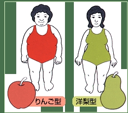 156センチ55キロ