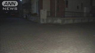 自転車と乗用車が出会い頭で衝突 自転車の小２死亡