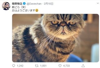 槇原容疑者のツイッター【最後の投稿は猫】