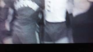 もう一度ブルマを履きたいですか？